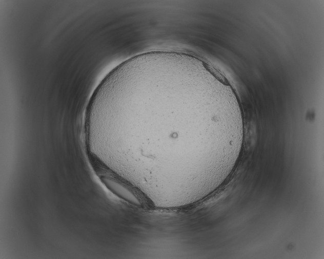 X0000096971103200803071000