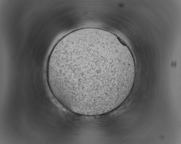 X0000096971104200803071000