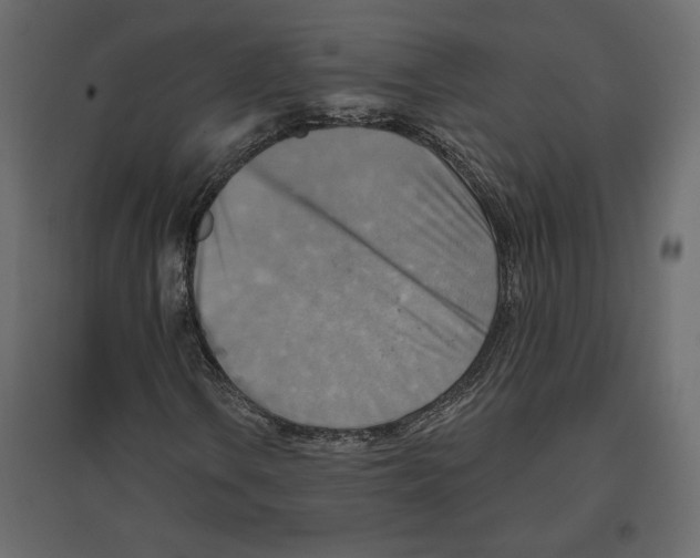 X0000096971106200803070959