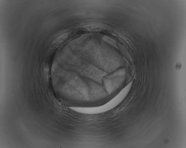 X0000096971108200803070959