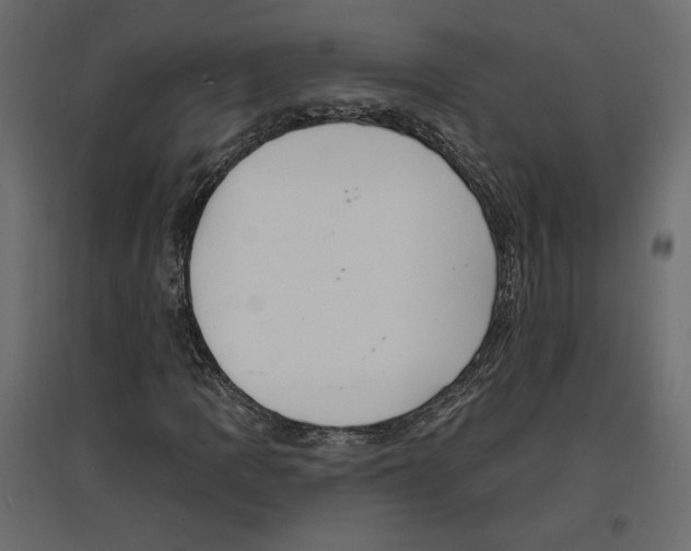 X0000096971109200803070959