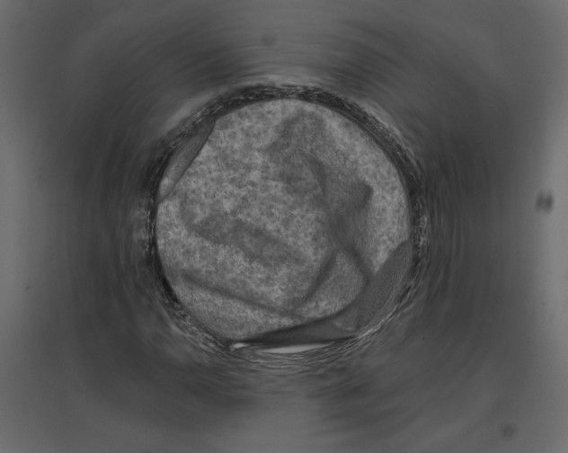 X0000096971110200803070959