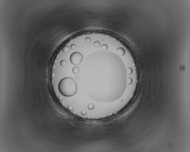 X0000096971113200803070959