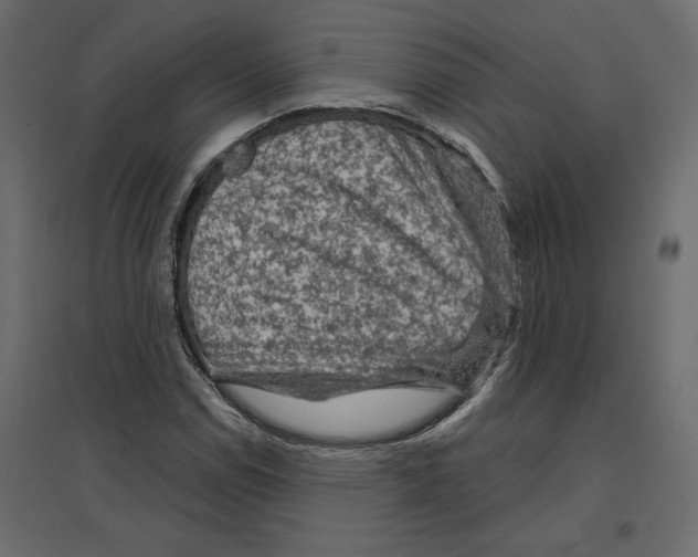 X0000096971114200803070959