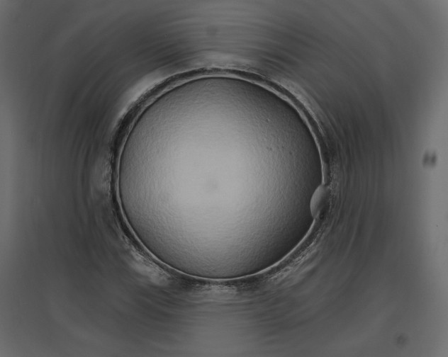 X0000096971115200803070959