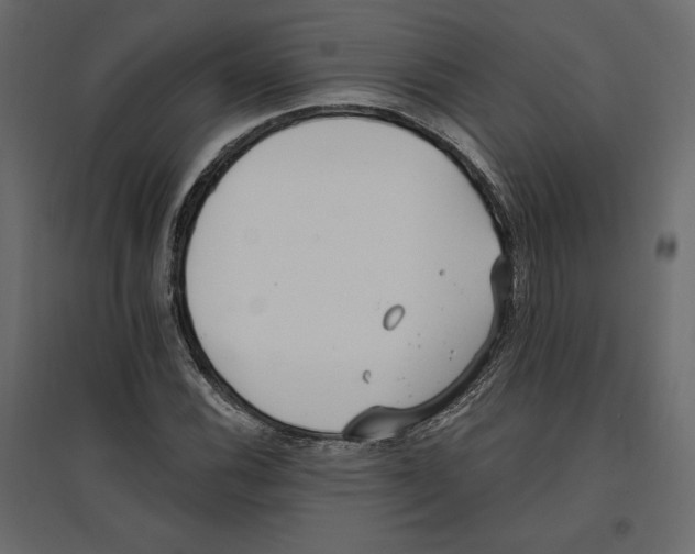 X0000096971116200803070959