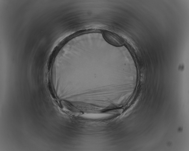 X0000096971117200803070959