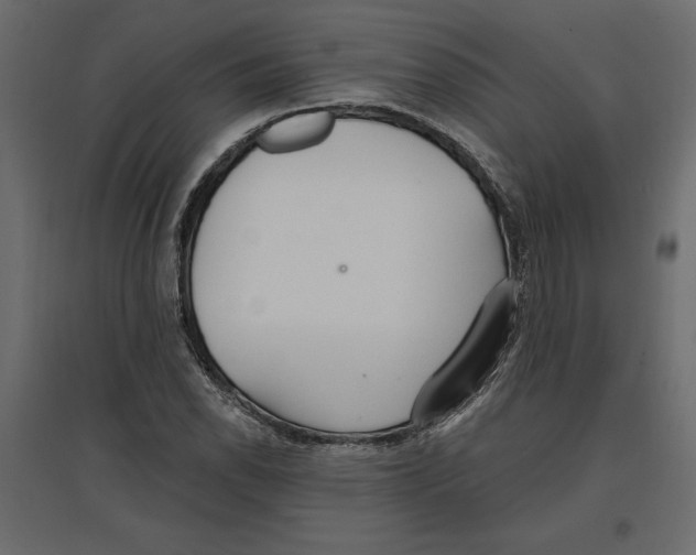 X0000096971118200803070959