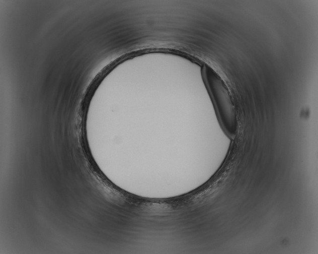 X0000096971119200803070959