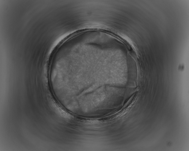 X0000096971120200803070959