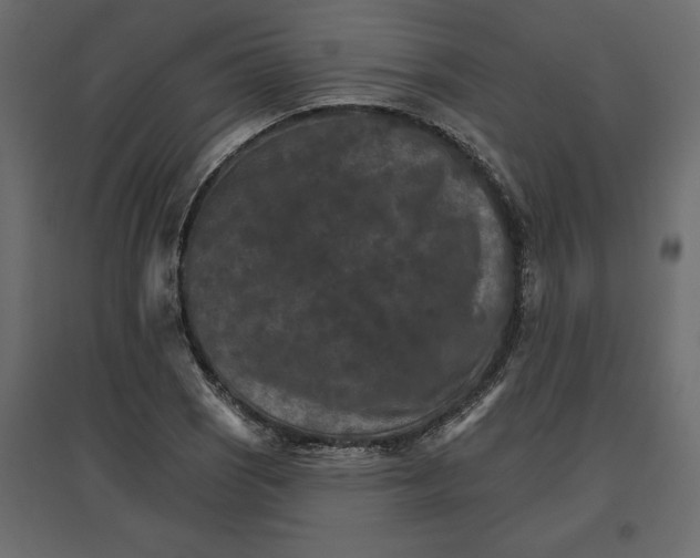 X0000096971121200803071000