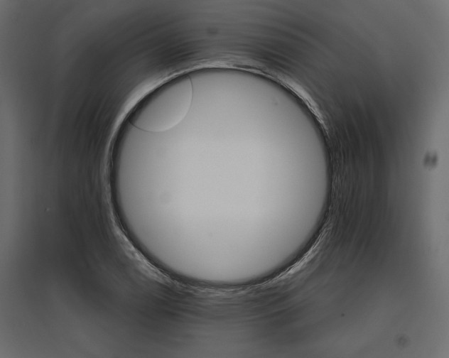 X0000096971122200803071000