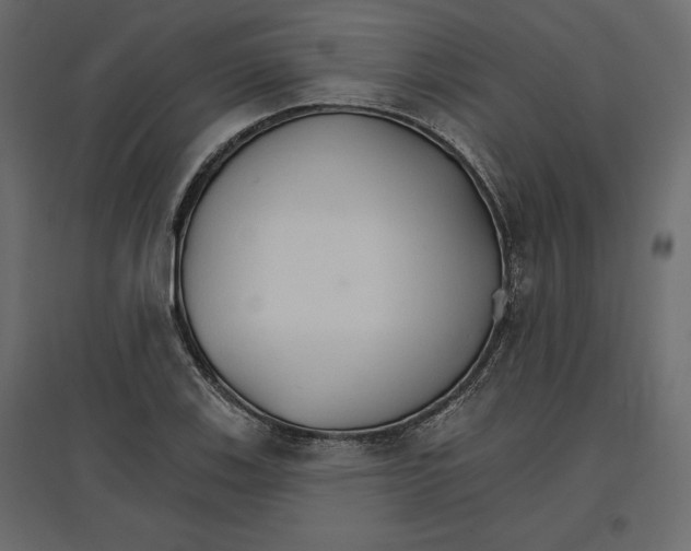 X0000096971123200803071000