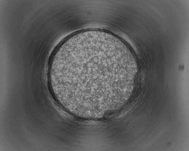 X0000096971124200803071000