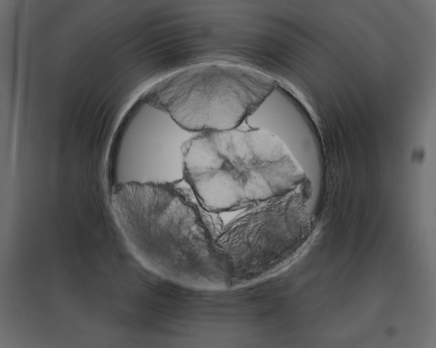 X0000096971125200803071000