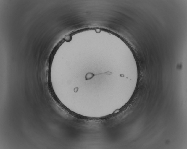 X0000096971126200803071000