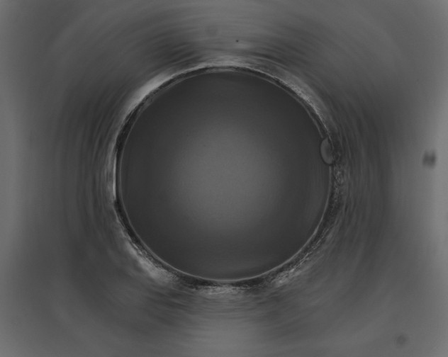 X0000096971127200803071000