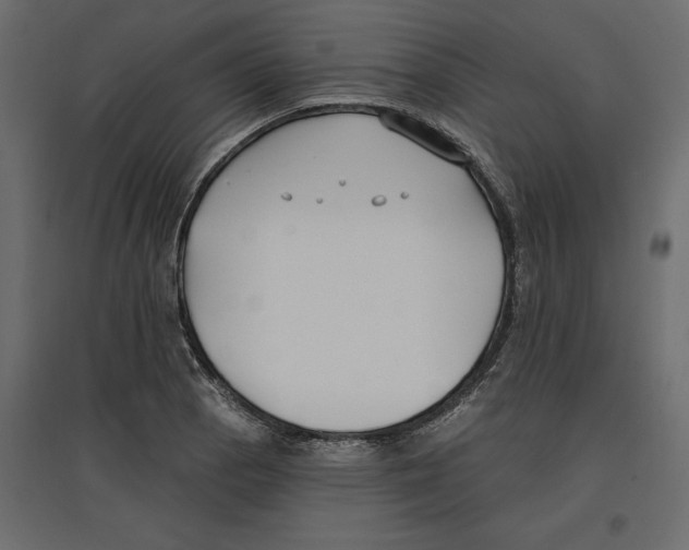 X0000096971129200803071000