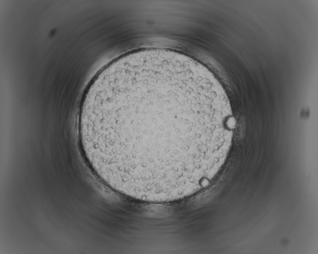 X0000096971130200803071000