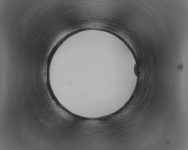 X0000096971131200803071000