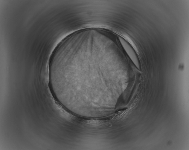 X0000096971132200803071000