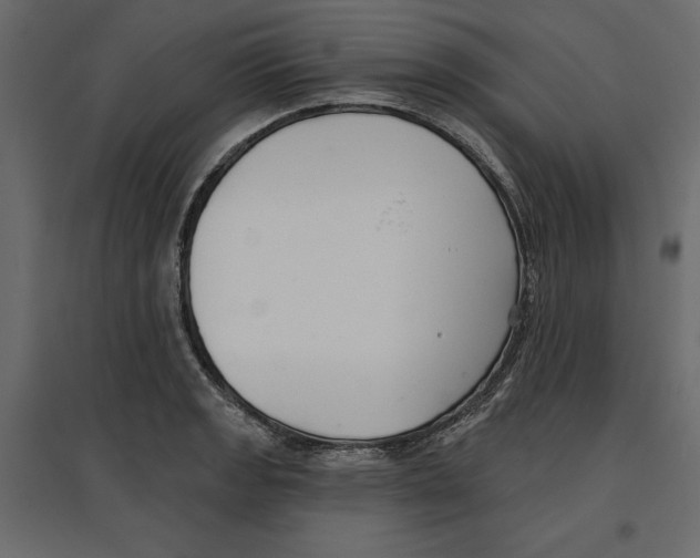 X0000096971133200803071000