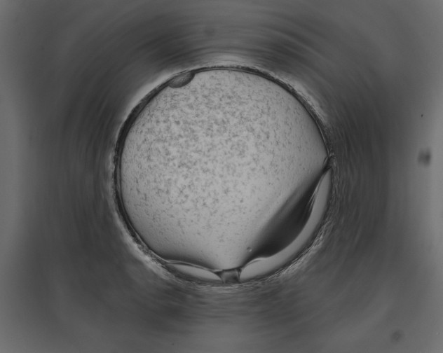 X0000096971134200803071000