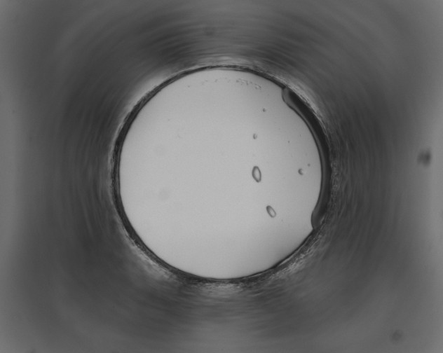 X0000096971135200803071000