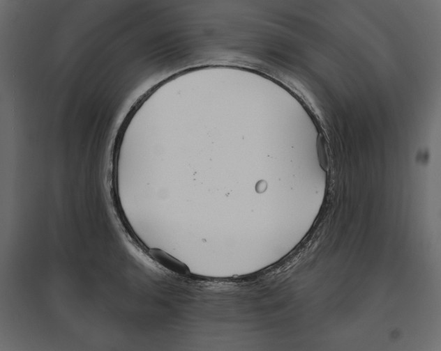 X0000096971136200803071000