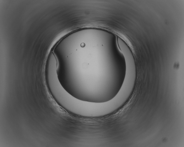 X0000096971138200803071000