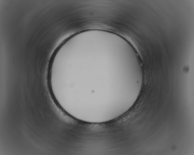 X0000096971139200803071000