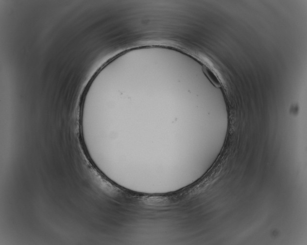 X0000096971140200803071000