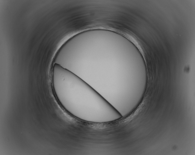 X0000096971141200803071000