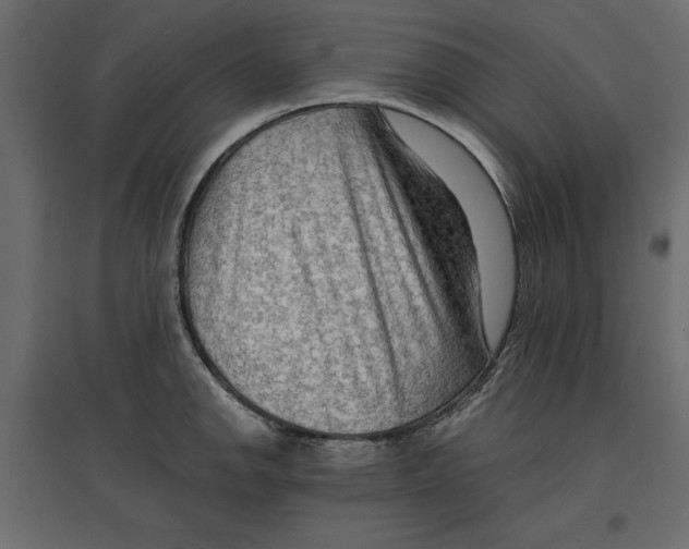 X0000096971142200803071000