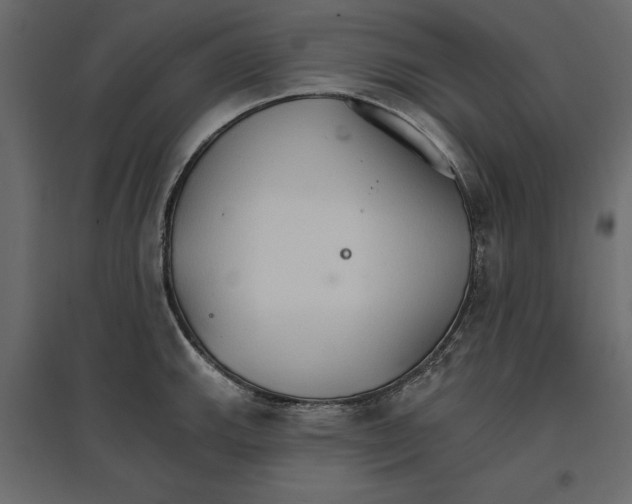 X0000096971143200803071000