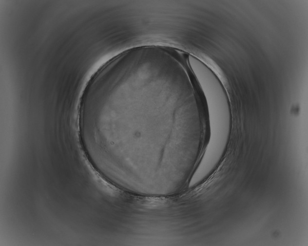 X0000096971144200803071000