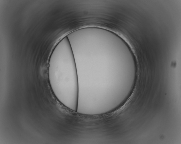 X0000096971145200803071000