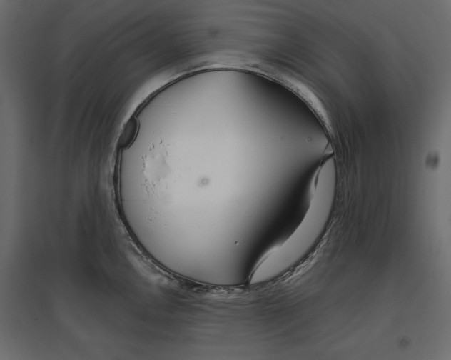 X0000096971146200803071000