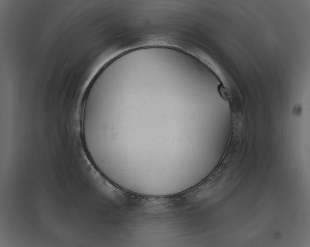 X0000096971148200803071000