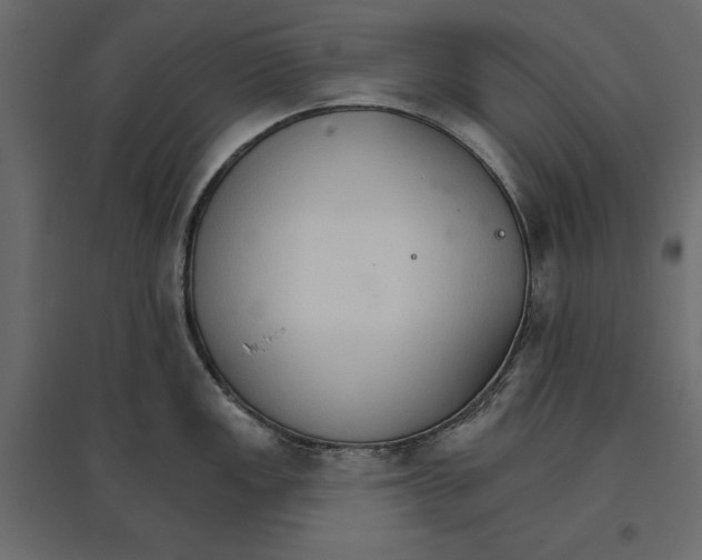 X0000096971149200803071000