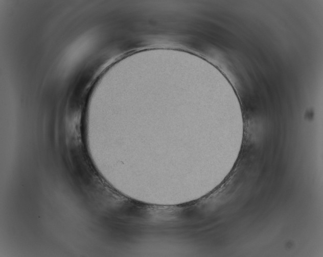 X0000096971150200803071000