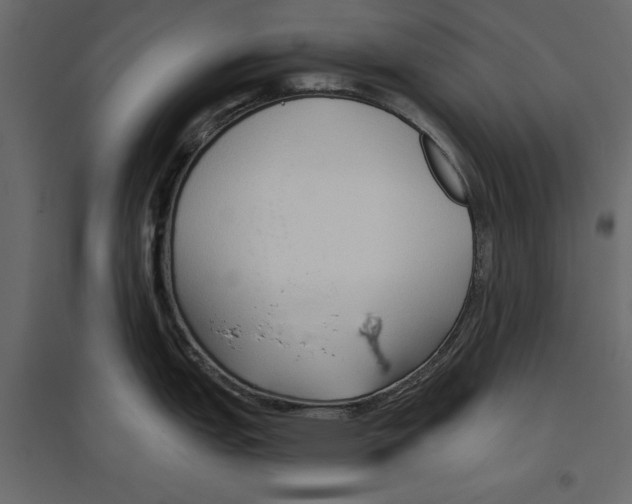 X0000096971151200803071000