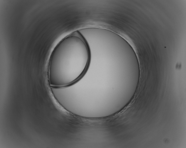 X0000096971152200803071000