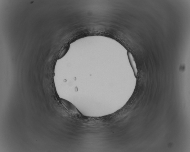 X0000096971153200803070959