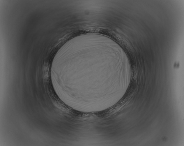 X0000096971154200803070959