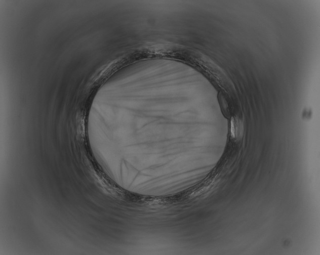 X0000096971155200803070959