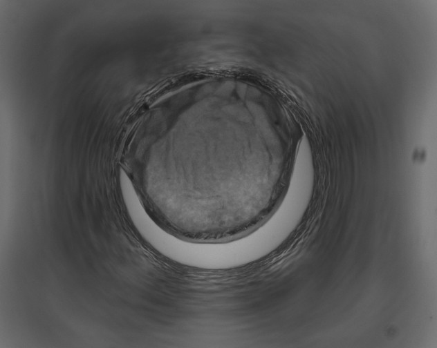 X0000096971156200803070959