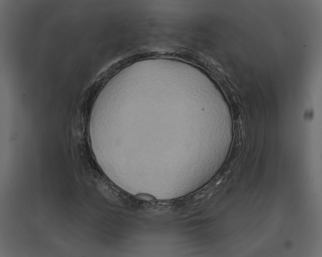 X0000096971158200803070959