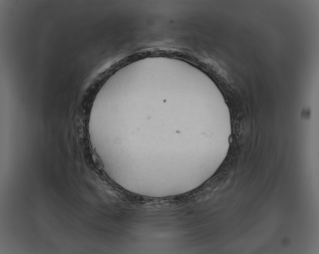 X0000096971159200803070959