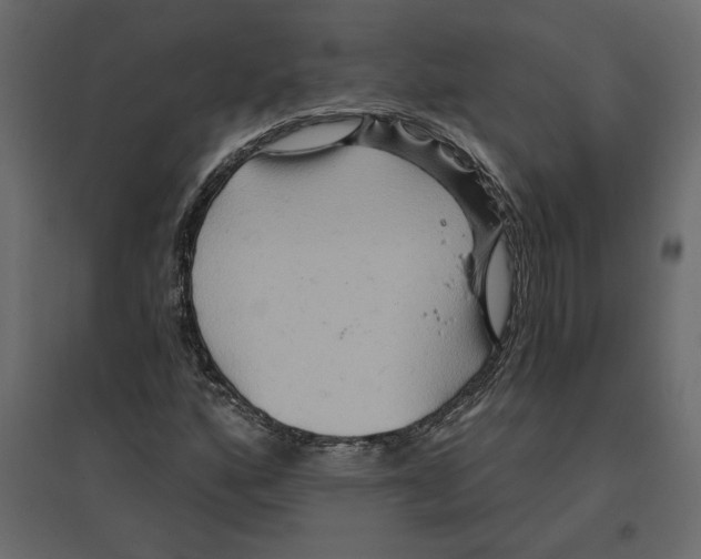 X0000096971160200803070959